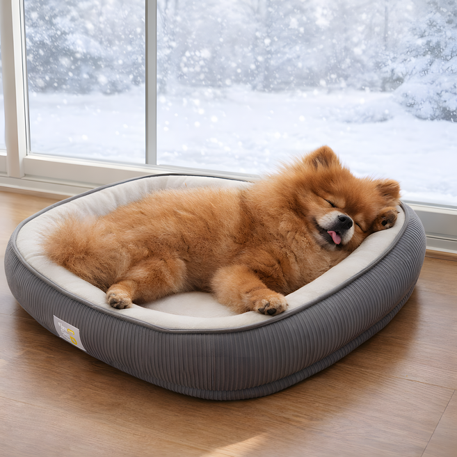 데이위시 사계절용 꿀잠유도 커버분리 펫쿠션, 1개, 그레이