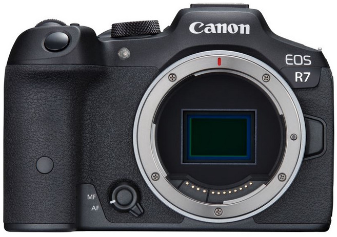 Canon EOS R7 APS-C 無反光鏡相機 單機身, 1個, R7單機身 (無鏡頭)