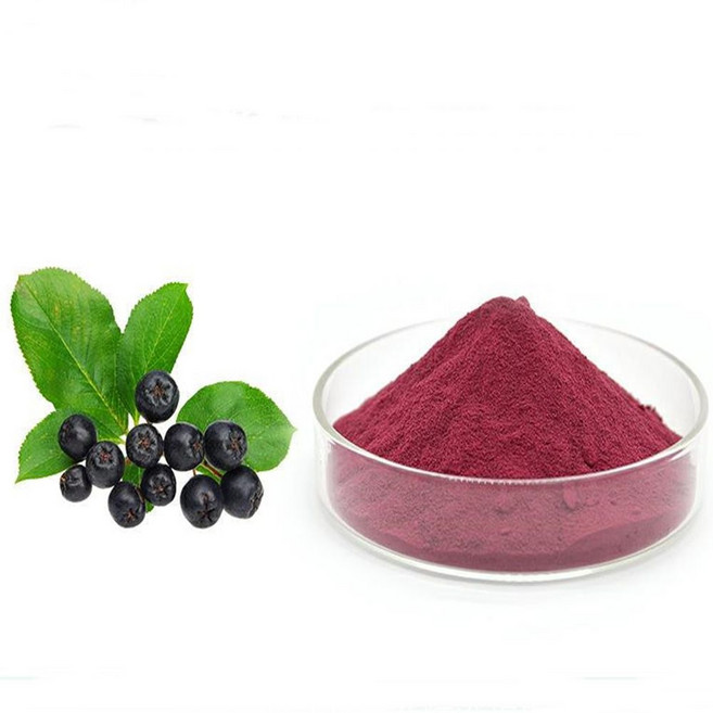아로니아농축분말 1kg 과일추출분말, 1개