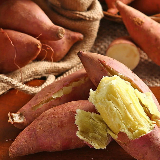 셀링크 여주 세척 꿀 밤고구마 10kg 산지직송, 1박스, 셀링크 세척 여주 꿀밤고구마 특상 10kg