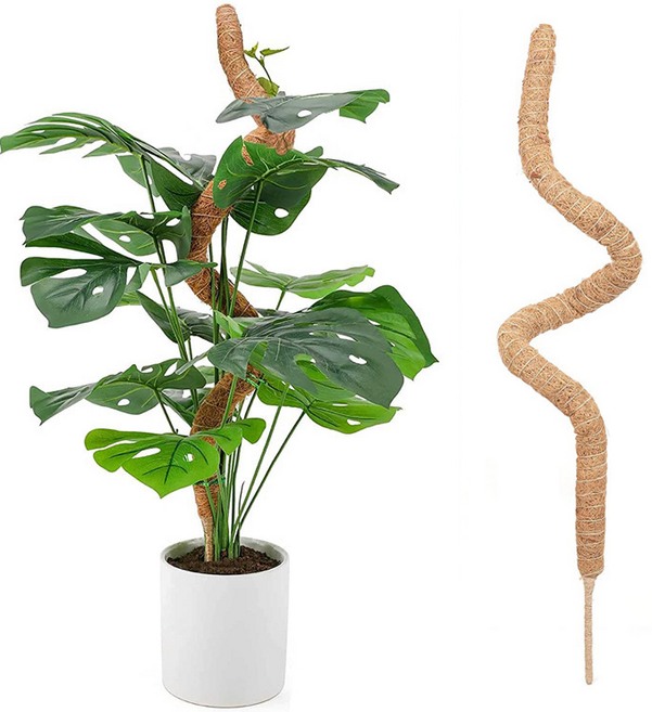 미화부장 몬스테라 슬림 수태봉 구부러지는 와이어 긴 얇은 넝쿨 식물지지대, 100cm, 1개
