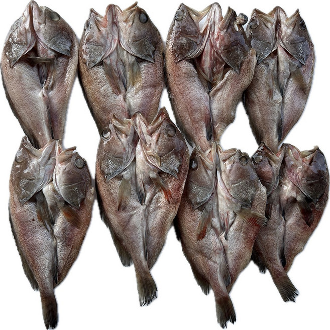 힘찬푸드 냉동 능성어할복 바리 버터플라이 25마리전후, 1박스, 5kg
