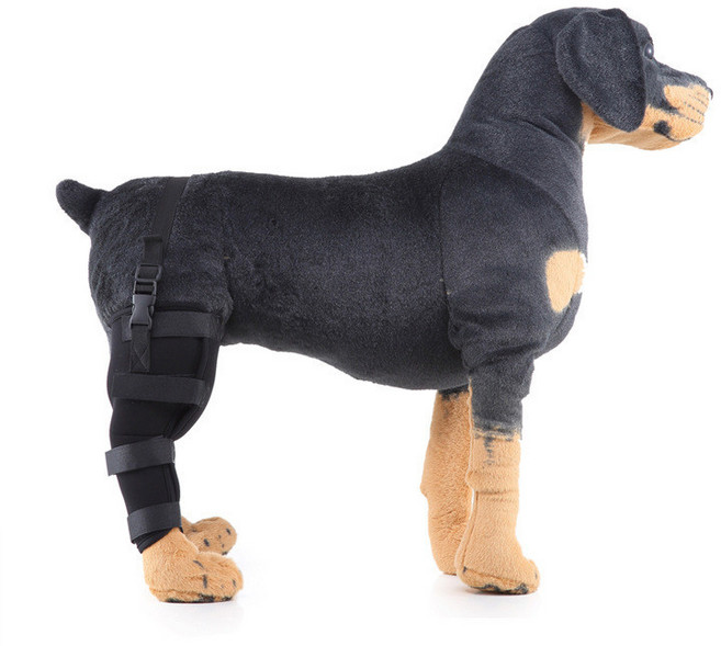 狗狗術後輔助後腿護膝，行走支撐固定, HJ22黑右後腿,M, 1個