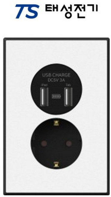 태성전기 틸인스 블랙화이트 USB 2포트+1구 콘센트, 1개