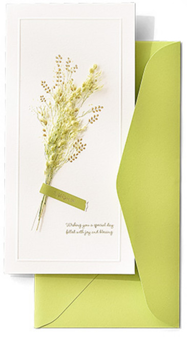 플라워 감사축하 메세지봉투 고급 용돈봉투, 1개, 연두