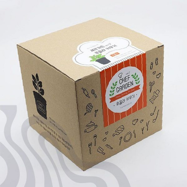 가정원예 키트 루꼴라 씨앗 화분 재배 세트 베란다 텃밭 허브 기르기 식물 키우기, 상세페이지 참조