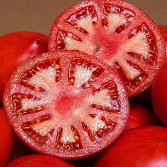 [파격초특가] 딱100명만 과즙폭발 천상의맛 완숙토마토, 1박스, 10kg