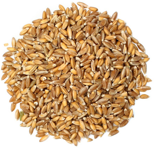 파로 파로쌀 엠머밀 고대곡물, 400g, 1개