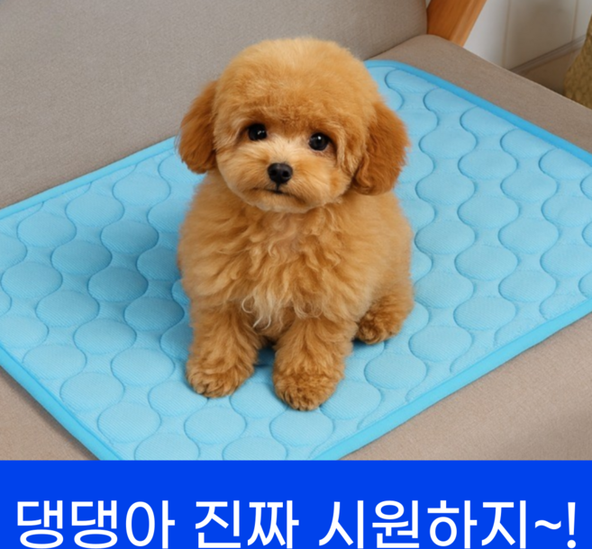 댕쿨 썸머 애견 쿨매트 냉감소재, 스카이블루