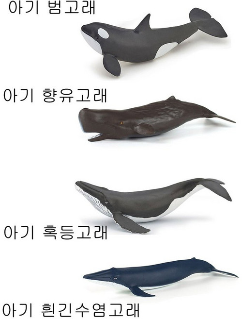 [파포] 아기 새끼 고래 모음 (범고래 향유 혹등 흰긴수염) 해양 동물 시리즈 피규어 교육용 학습 교구 교본 모형 완구 장난감 어린이 아이 조카 생일 크리스마스 키덜트, 아기 혹등고래, 1개