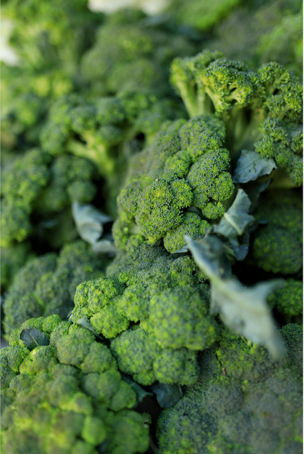 [프레시홈푸드] 신선한 브로컬리 [국산/제주도] 250g 개수 1개