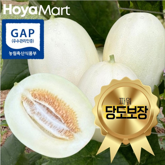 호야마트 설향메론 고령 산지직송 국내산 당도보장, 1개, 달콤 2kg (3~6과)