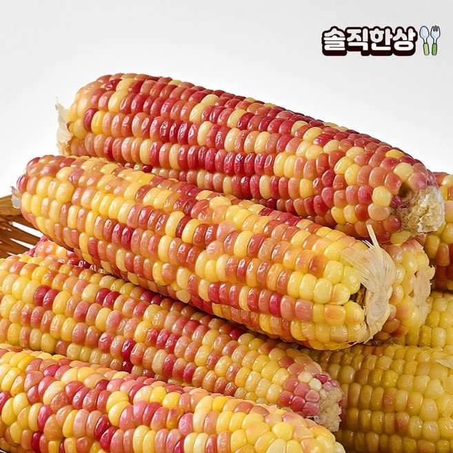 맛있는 홍찰옥수수 찰옥수수 쫀득 찰진 옥수수 세트 간식용 콘치즈 콘샐러드, 홍찰옥수수 대 10입