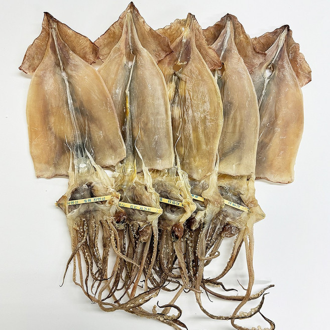 국내산 동해안 마른오징어 건조오징어, 5개, 200g내외 (소)