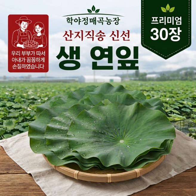 학야정매곡농장 국산 생연잎 30장 연잎밥용 찜용 연잎 대용량, 1세트, 3kg