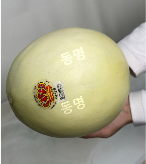 동명 미국털록 허니듀멜론 프리미엄 선별 고당도, 1개, 1.6kg