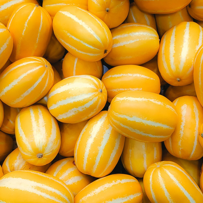성주 꿀 참외 (당일배송), 1박스, 10kg 랜덤과