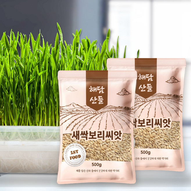 국산 새싹보리씨앗 1kg (500g x 2봉) 지퍼백 소포장 l 겉보리 보리새싹 키우기, 500g, 2개