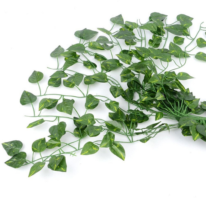 담쟁이넝 12줄 인조 2M 인테리어 스킨답서스 넝쿨 79056PC 1(EA)