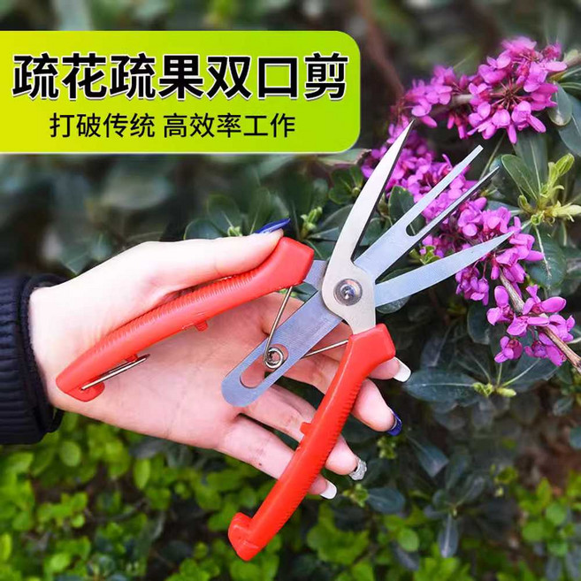 사과 적과 가위 적화 배 과일 특수 양입가위 과수원 꽃 포도 알솎기, 1개