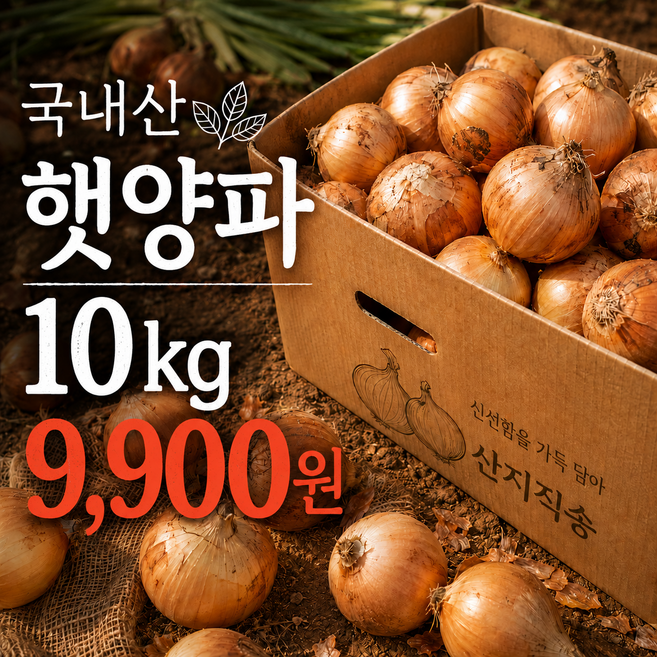 3위 - [대한민국 최저가] 국내산 단단한 햇 양파, 1박스, 10kg (중)