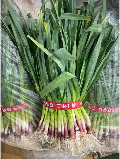 싱싱한 풋마늘 알싸한 국내산 잎마늘, 1개, 1kg