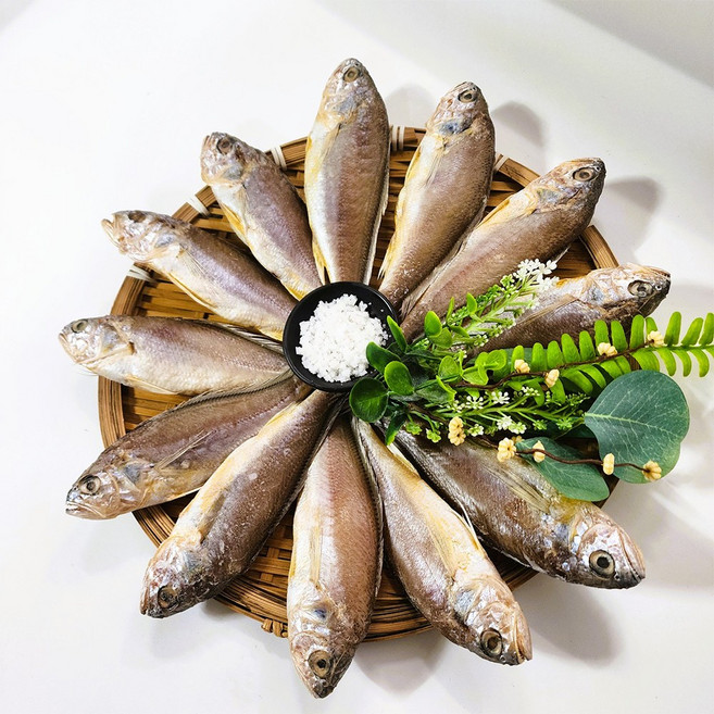 국산 반건조 참조기 조기 구이 매운탕 조림용 중1kg(20-24마리) 대 500g(7-9마리) 구성, 1개, 500g 대 (7~9미)