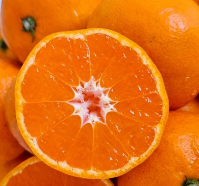 산지직송 제주 비가림 하우스 감귤, 1박스, 5kg(대과)