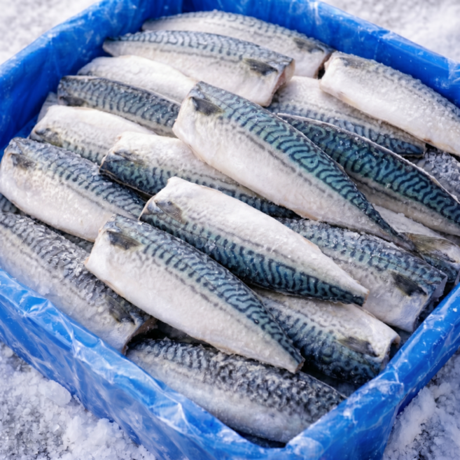 노르웨이 순살고등어 필렛 급냉, 1박스, 5팩 (1팩 150g 내외)