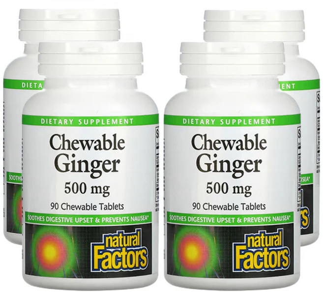 네츄럴팩터스 츄어블 진저 500mg 츄어블 90정, 4개 - 쿠팡