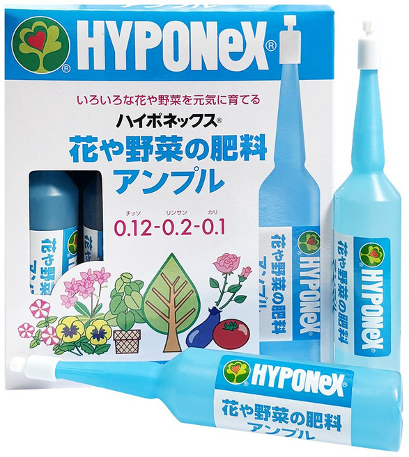 하이포넥스 레이쇼 앰플 식물 화분 영양제