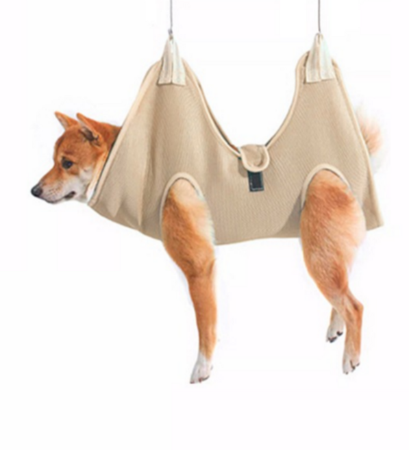 고냥냥 강아지 고양이 발톱 깎이 거치대, 베이지, 1개