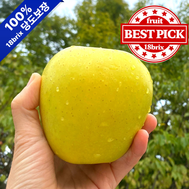 [산지직송] 고당도 황금사과 노란사과 경북사과 시나노골드 사과 가정용, 1박스, 5kg / 중소과