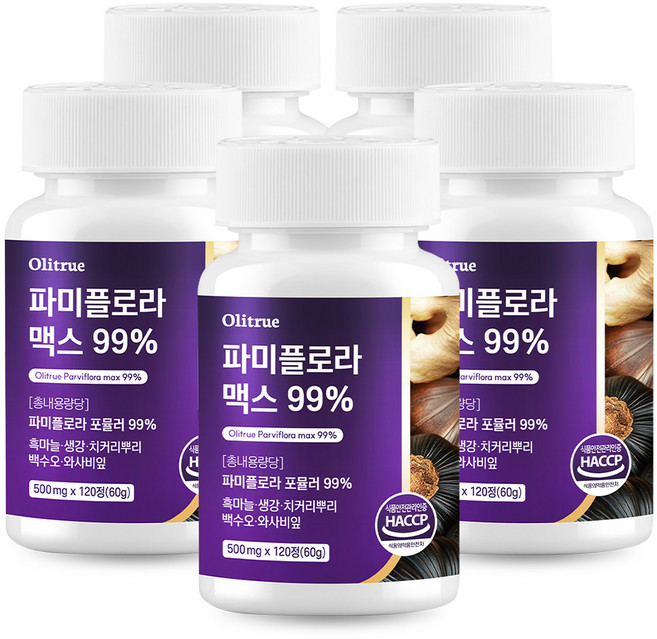대용량 파미 플로라 99% 흑마늘 생강 식약청인증, 5개, 120정