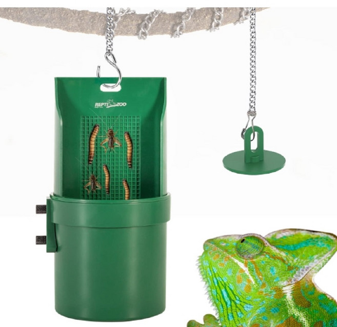 렙티주 카멜레온 피딩디쉬 먹이그릇, 1개