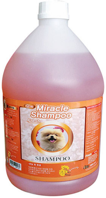 미라클순 샴푸 전용 애견샴푸, 4L, 1개