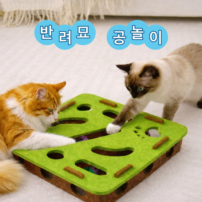 솔로몬스 고양이트랙 공놀이 장난감 공3개, 1개, 그린