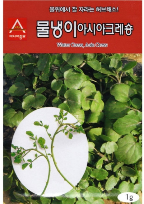 영농사 물냉이 씨앗 1g 크레송 허브씨앗, 1개
