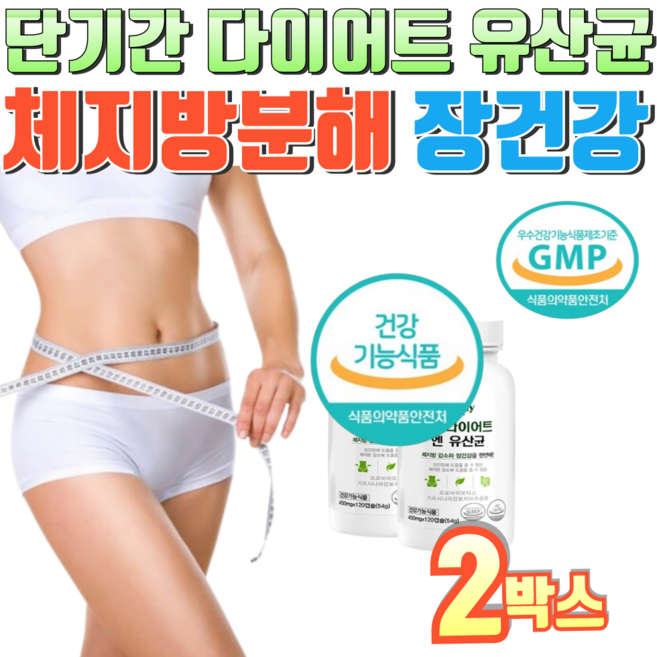 단기간 다이어트 뱃살 내장 체지방 감소 식약청 인증 모유유래유산균 복부 관리, 2박스