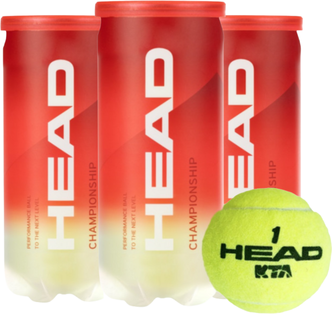 헤드 챔피언쉽 테니스공 시합구 캔볼 (2개입), 옐로우, 3개