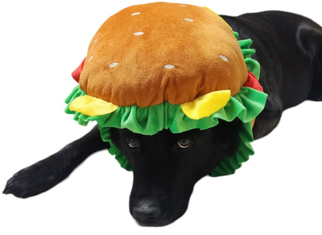 강아지모자 산타 크리스마스 겨울 군밤 방울 니트 애견 고양이 방한 모자, 햄버거, 1개