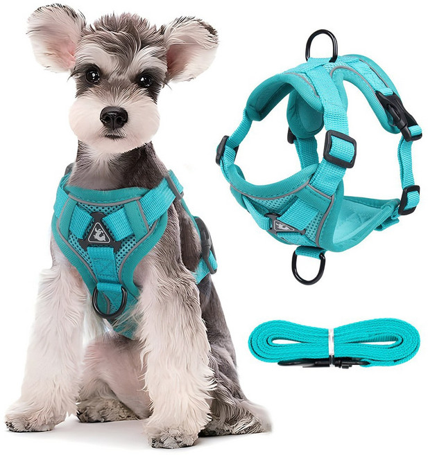 강아지 고양이 공용 하네스 세트 탈출 방지 조끼형 야간 반사 통기성 메쉬 1.5미터 리드줄 포함, 1세트, 파란색