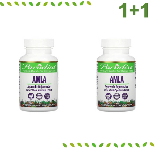 1+1 파라다이스허브 암라 Amla 열매 추출물 250mg 60 베지캡슐 비타민C 미네랄, 60정 - 쿠팡