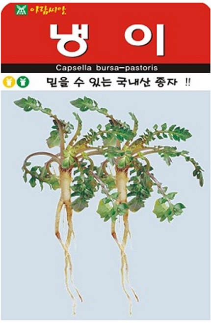 아람종묘 냉이 씨앗 2만립, 1개