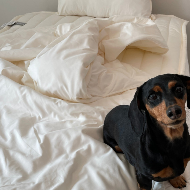 강아지 고양이 털 안붙는 사계절 이불 SS Q SK