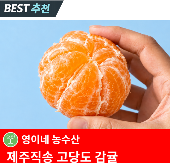 [한정특가] 고당도 제주 감귤 가정용, 1박스, 10kg (로얄과)