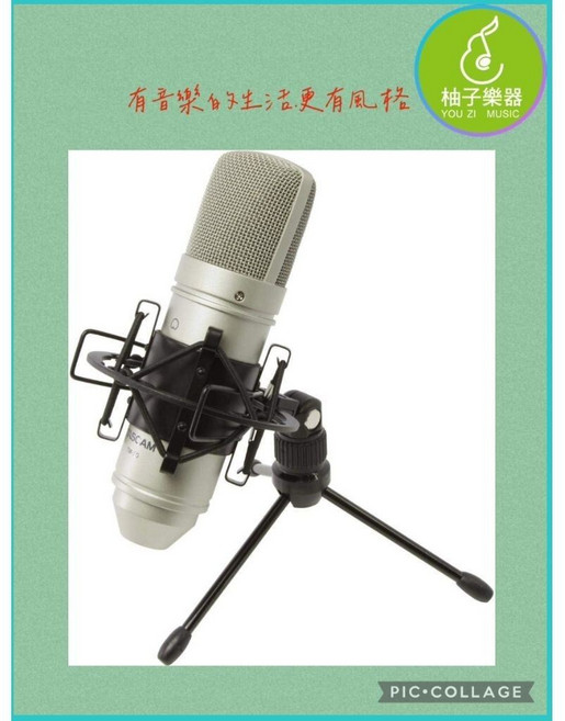 TASCAM TM-80 單向電容麥克風