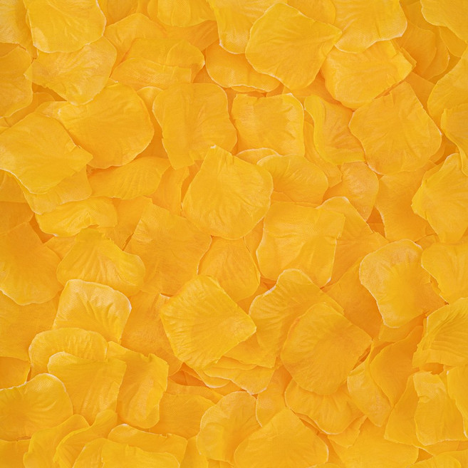 아트포유 장미 꽃잎 컨페티 플라워샤워 웨딩 촬영 꽃가루, 100개, 옐로우