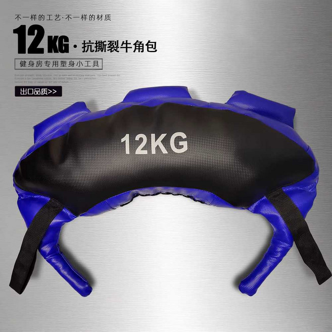블가리안백 스퀘트백 헬스 모래주머니 트레이닝용 중량, 1개, 블루/블랙 12kg 컬러 가죽