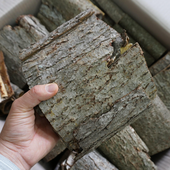 국산 참옻나무껍질 옻껍질 건칠피 옻피 1kg, 1개